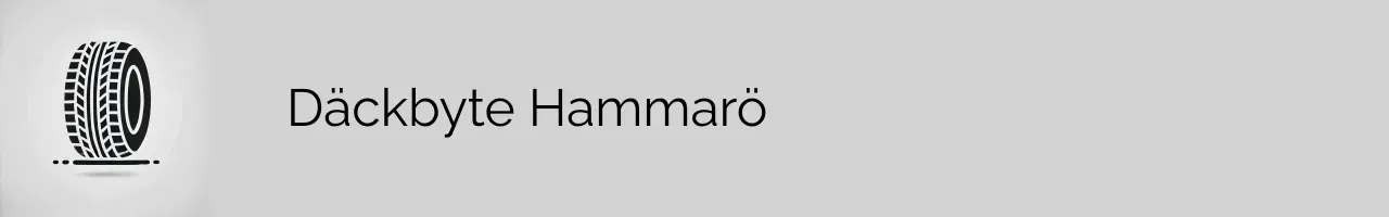 Däckbyte Hammarö