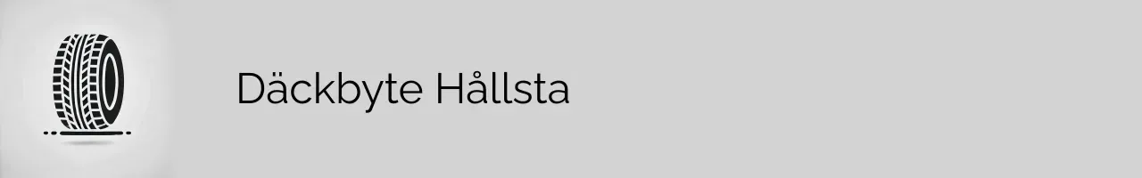 Däckbyte Hållsta