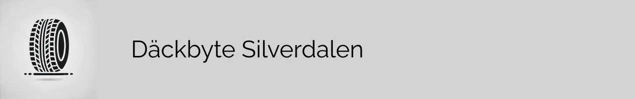Däckbyte Silverdalen