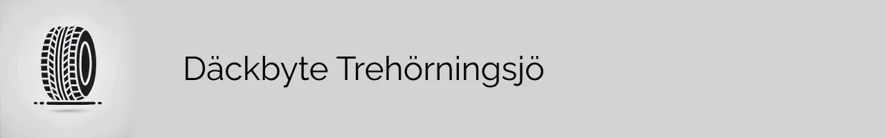 Däckbyte Trehörningsjö